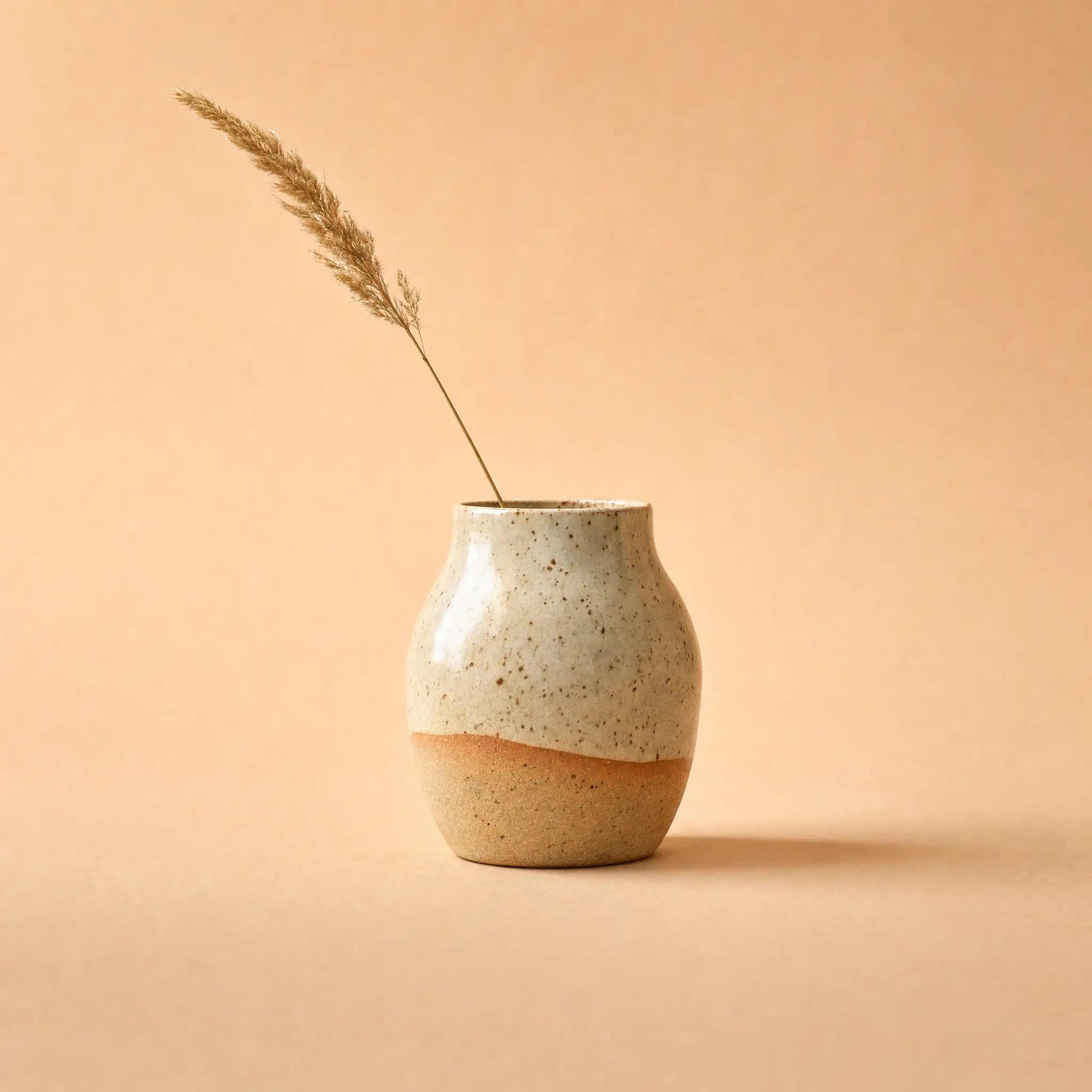The vase on a soft peach studio backdrop